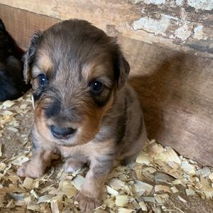 Meet your Posher, Jordan